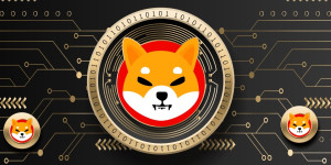 Beitragsbild des Blogbeitrags Shiba Inu verzeichnet einen Anstieg der Walaktivität. Wird sich dies auf SHIB auswirken?