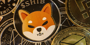 Beitragsbild des Blogbeitrags Das Selbstauthentifizierungssystem von Shiba Inu weist technische Probleme auf, verrät der Entwickler
