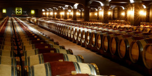 Beitragsbild des Blogbeitrags Weltweite Weinproduktion auf 60-Jahres-Tief 