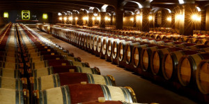 Beitragsbild des Blogbeitrags Weltweite Weinproduktion auf 60-Jahres-Tief
