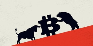 Beitragsbild des Blogbeitrags Bärische Divergenz?  Der Bitcoin-Preis steigt, aber das Netzwerkwachstum sendet Warnsignale 