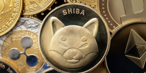 Beitragsbild des Blogbeitrags 3 Hauptgründe, warum Investoren zusammen mit Shiba Inu zu diesem Meme-Coin-Vorverkauf strömen 