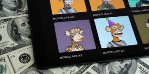 Beitragsbild des Blogbeitrags Krypto-Betrugswarnung: Betrüger geben sich als Forbes-Journalisten aus, um BAYC-Inhaber auszurauben