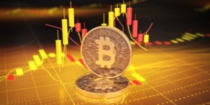 Beitragsbild des Blogbeitrags Laut diesen großen Walen ist die Bitcoin-Bullen-Rallye noch lange nicht vorbei