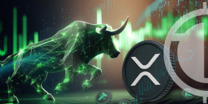 Beitragsbild des Blogbeitrags Analysten bezeichnen XRP als Top-Münze für den Bull Run 2024–2025 