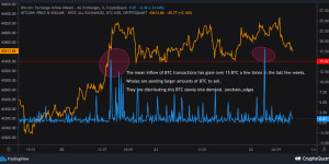 Beitragsbild des Blogbeitrags Bitcoin-Wale verkaufen 2,2 Milliarden US-Dollar ab, aber BTC bleibt stark