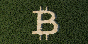 Beitragsbild des Blogbeitrags Krypto-Analyst prognostiziert, dass Bitcoin 130.000 US-Dollar erreichen wird, hier erfahren Sie, wann 