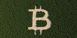 Beitragsbild des Blogbeitrags Krypto-Analyst prognostiziert, dass Bitcoin 130.000 US-Dollar erreichen wird, hier erfahren Sie, wann