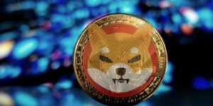 Beitragsbild des Blogbeitrags Shibariums Aktivitätsschub: Wallet-Wachstum und erhöhte SHIB-Verbrennungsrate – bullisches Signal für Shiba Inu?