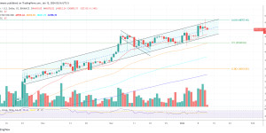 Beitragsbild des Blogbeitrags Bitcoin-Preis stagniert trotz Rekord-ETF-Tag bei 46.000 US-Dollar: Hier ist der Grund