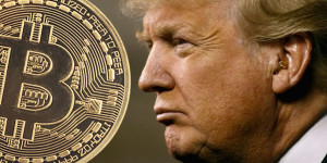 Beitragsbild des Blogbeitrags Ex-Präsident Trump bringt limitierte Auflage von Karten auf Bitcoin-Blockchain mit Hilfe von Ordinal Technology heraus. 