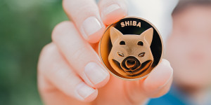 Beitragsbild des Blogbeitrags Shiba Inu-Ökosystem boomt: Shibarium erreicht entscheidenden Meilenstein 