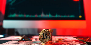 Beitragsbild des Blogbeitrags Ist es für Bitcoin Dogs?