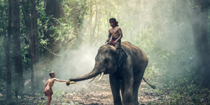Beitragsbild des Blogbeitrags Indien sichert sich neuen Öllieferanten