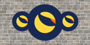 Beitragsbild des Blogbeitrags Warum ist der Preis für LUNC und USTC heute gestiegen?