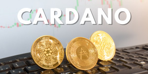 Beitragsbild des Blogbeitrags Cardano im Niedergang, da der Kryptomarkt rückläufig wird 