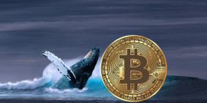 Beitragsbild des Blogbeitrags Bitcoin-Wale behalten ihr positives Akkumulationsverhalten vor der Halbierung im Jahr 2024 bei: Bericht