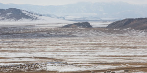 Beitragsbild des Blogbeitrags Klimakatastrophen dezimieren den mongolischen Viehbestand 