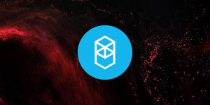 Beitragsbild des Blogbeitrags ORDI-, Fantom- und Aave-Preise führen zu Verlusten, da BitBot der Schwerkraft trotzt