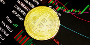Beitragsbild des Blogbeitrags Hysterie um Bitcoin-Halbierung: Wird sich die Geschichte wiederholen oder stehen wir vor einem Zusammenbruch des Marktes? 