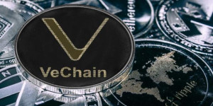 Beitragsbild des Blogbeitrags Historische Daten sorgen für Aufregung: VeChain-Preis steht vor einem bullischen Ausbruch?