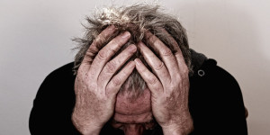 Beitragsbild des Blogbeitrags Bach-Blütentherapie für emotionale Störungen bei Haustieren 