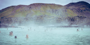 Beitragsbild des Blogbeitrags Hydrotherapie für Tiere: Verfahren und Nutzen