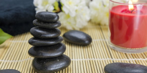Beitragsbild des Blogbeitrags Ayurveda für Tiere: Grundlagen und Therapien
