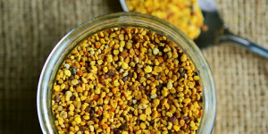 Beitragsbild des Blogbeitrags Heilmittel aus der Bienenkunde: Propolis Honig und mehr