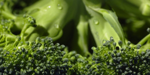 Beitragsbild des Blogbeitrags Rohkost: Gesund oder gefährlich?