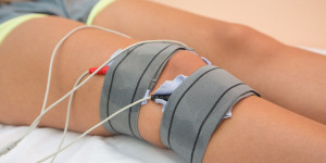Beitragsbild des Blogbeitrags Physiotherapie für Tiere: Techniken und Anwendungen