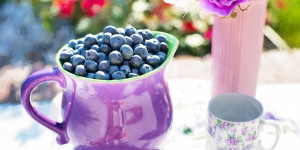 Beitragsbild des Blogbeitrags Vitamin E als natürliches Antioxidans: Was ist dran?