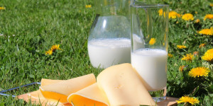 Beitragsbild des Blogbeitrags Calcium und Osteoporose: Ein Leitfaden