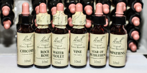 Beitragsbild des Blogbeitrags Naturheilkundliche Behandlungen für Harnwegserkrankungen bei Tieren 