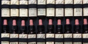 Beitragsbild des Blogbeitrags Bachblüten für Fische und Aquarienbewohner 