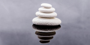Beitragsbild des Blogbeitrags Alternative Therapie für verhaltensauffällige Haustiere