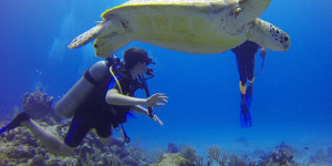 Beitragsbild des Blogbeitrags Entdecke die atemberaubende Unterwasserwelt von Bora Bora 