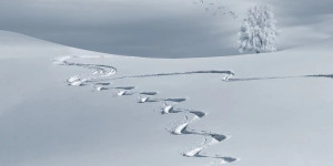 Beitragsbild des Blogbeitrags Skireisen: Die besten Pisten weltweit 
