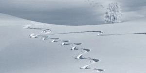 Beitragsbild des Blogbeitrags Skireisen: Die besten Pisten weltweit