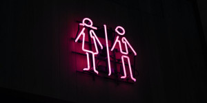 Beitragsbild des Blogbeitrags Unterschiede zwischen mobilen Toiletten für Menschen mit Behinderungen und herkömmlichen tragbaren Toiletten 