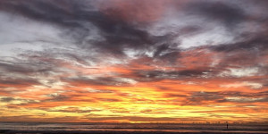 Beitragsbild des Blogbeitrags Australiens Great Barrier Reef: Ein Tauchparadies