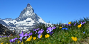 Beitragsbild des Blogbeitrags Zermatt und das Matterhorn: Alpine Legenden 