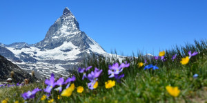 Beitragsbild des Blogbeitrags Zermatt und das Matterhorn: Alpine Legenden