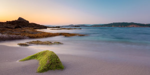 Beitragsbild des Blogbeitrags Costa Ricas Nationalparks: Ein Öko-Paradies