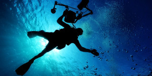 Beitragsbild des Blogbeitrags Scuba Diving für Anfänger: Alles was du wissen musst 