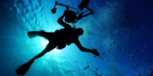Beitragsbild des Blogbeitrags Scuba Diving für Anfänger: Alles was du wissen musst