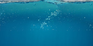 Beitragsbild des Blogbeitrags Nitrox Tauchen: Länger unter Wasser mit angereicherter Luft