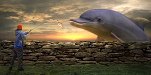 Beitragsbild des Blogbeitrags Delfin Arten: Die faszinierenden Bewohner der Ozeane 