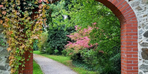 Beitragsbild des Blogbeitrags Görlitz Sehenswürdigkeiten: Sachsens östliches Juwel 