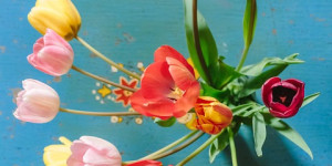 Beitragsbild des Blogbeitrags Gute Fragen an Mädchen: Tipps für ein interessantes Gespräch